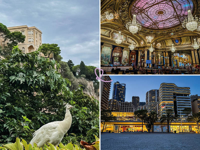 Discover Monaco in winter, its atmosphere and activities in pictures.