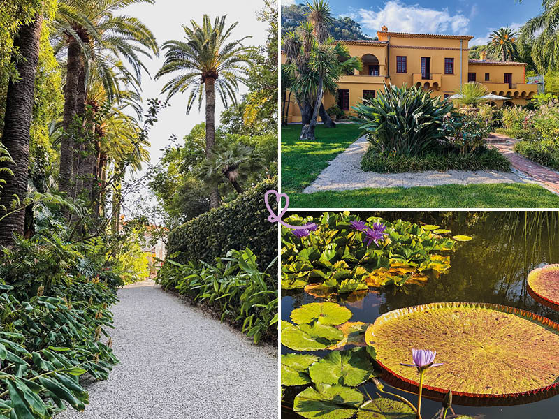 visit the Jardin Botanique du Val Rahmeh in Menton