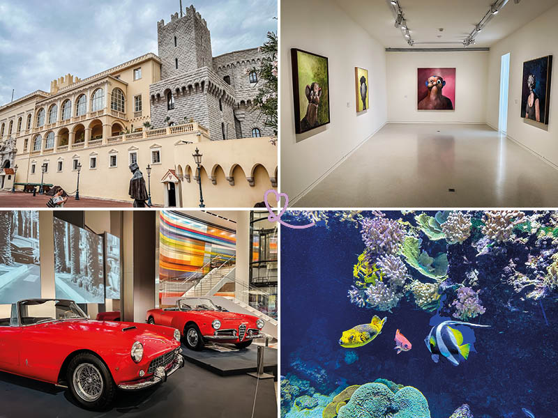 Lesen Sie unseren Artikel über die besten Museen in Monaco!