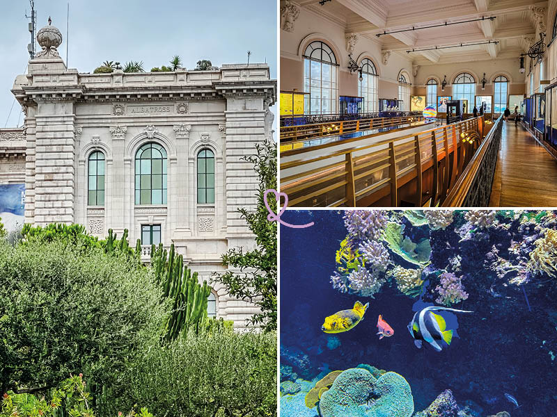 Discover our article on the Oceanographic Museum of Monaco!