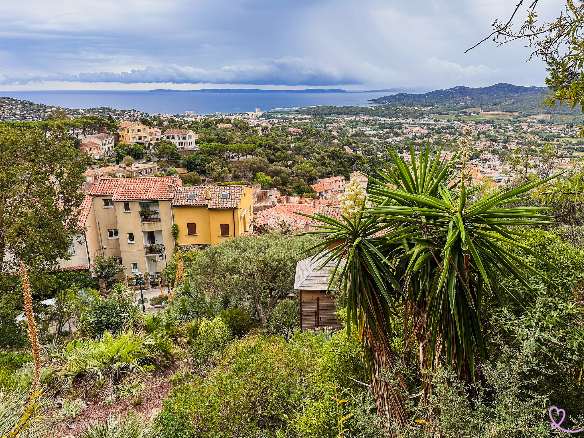 things to do village bormes mimosas visit