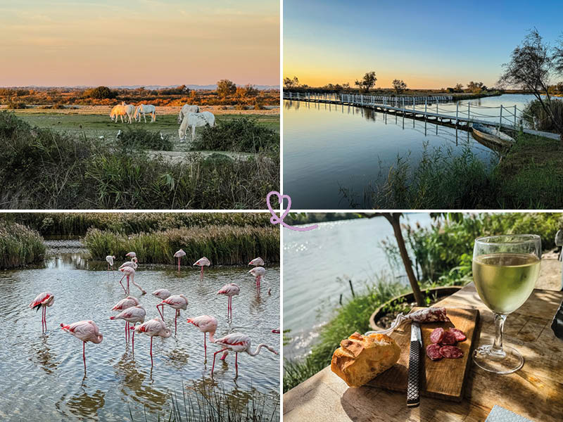 que ver camargue atracciones