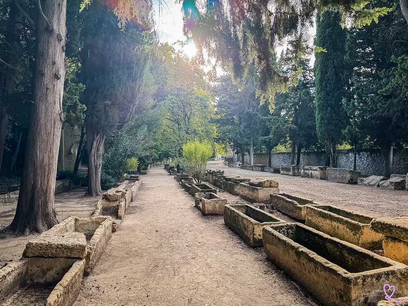 alyscamps arles